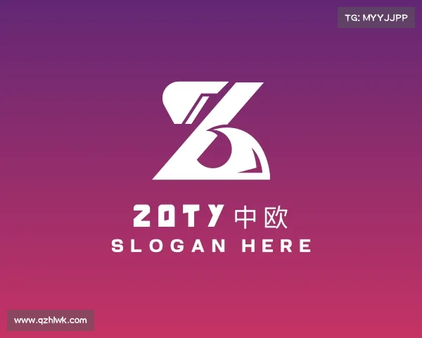 认识zoty中欧